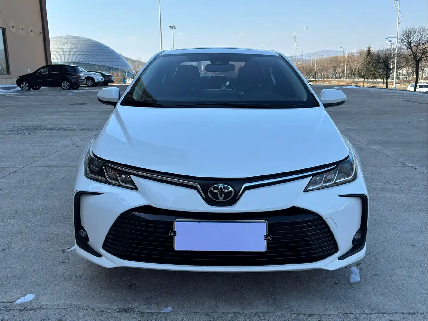 Toyota Corolla 2021 1.2T S-CVT Elite PLUS Edition фото 2