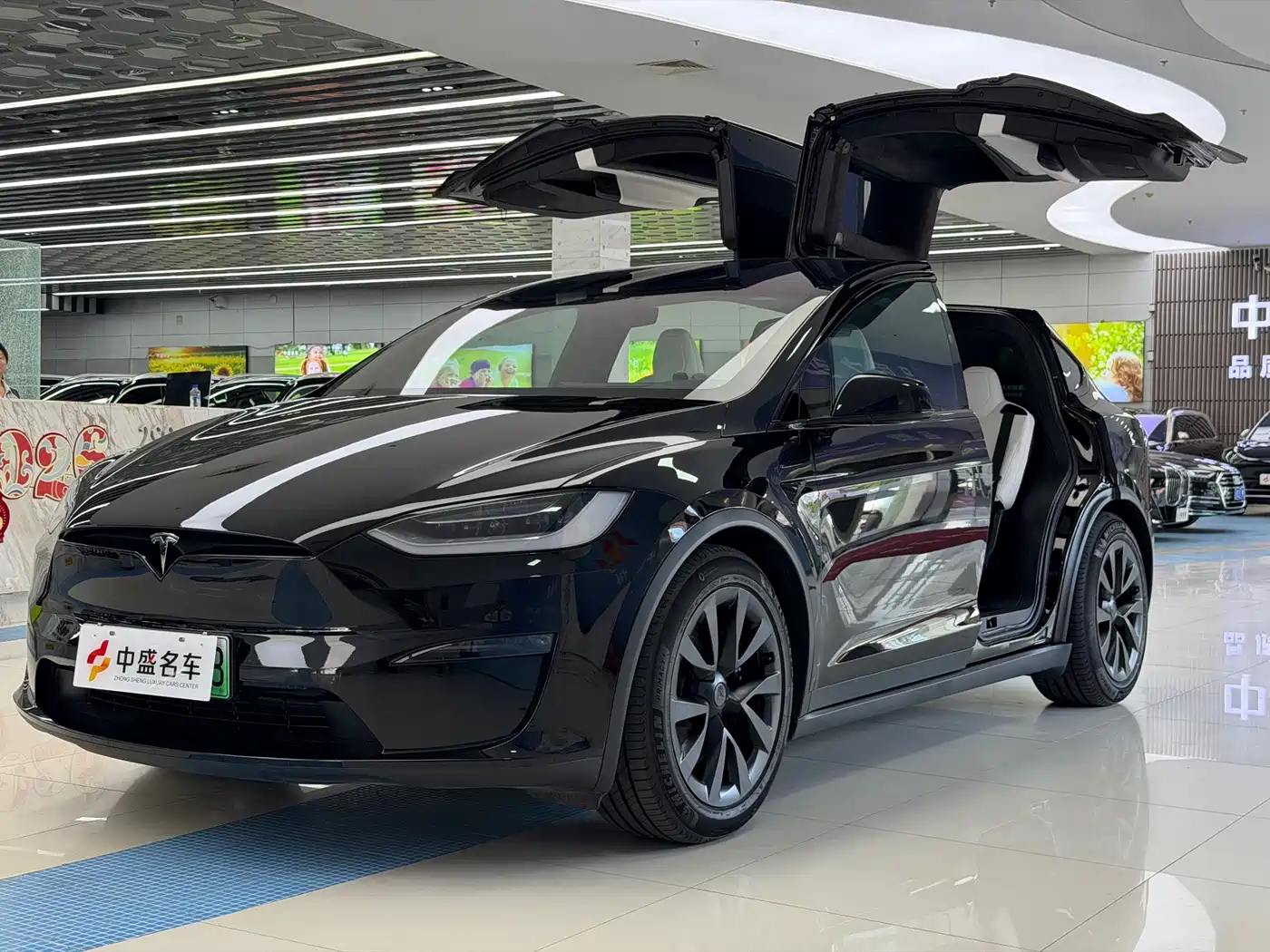 Tesla Model X 2023 Dual Motor All-Wheel Drive Edition фото 2