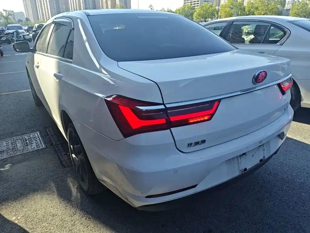 BYD Qin New Energy 2020 2019 Long Range Luxury Edition