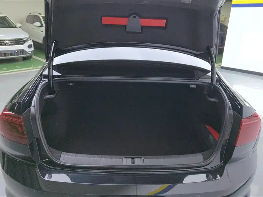Volkswagen Magotan 2025 Popular Edition 330TSI DSG Luxury фото 4