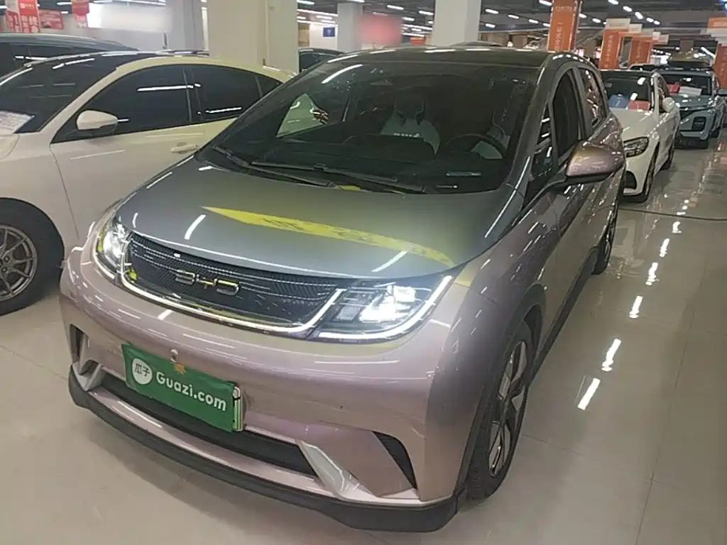 BYD Dolphin 2021 401km Knight Edition