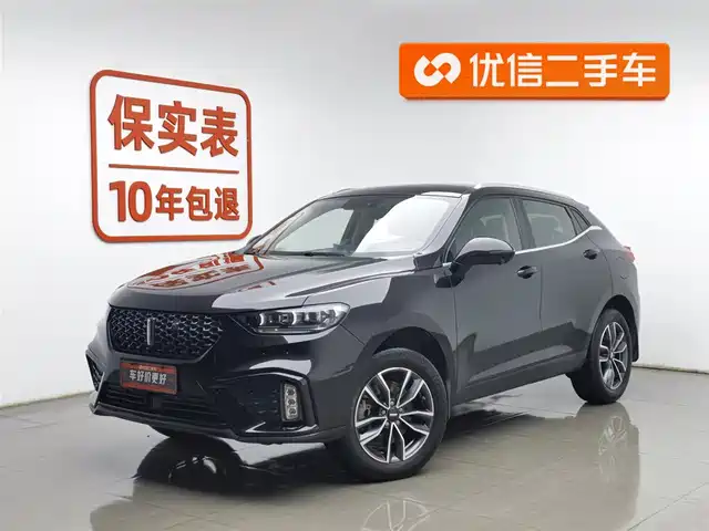 WEI PAI WEI BRAND VV5