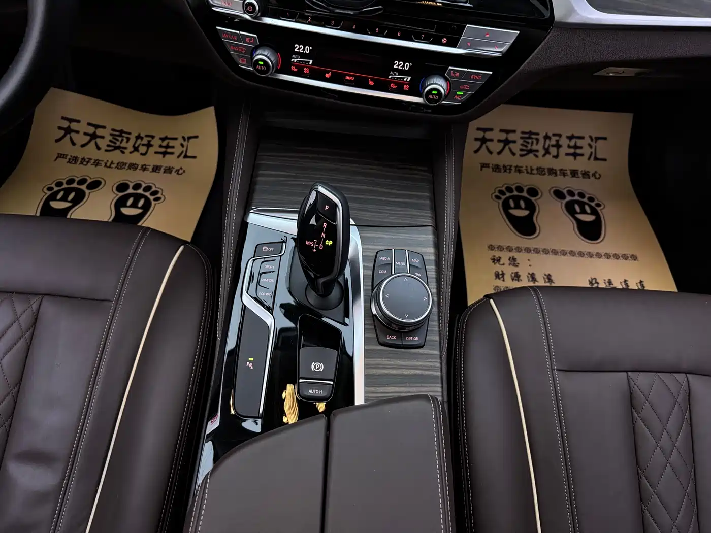 BMW 5 Series 2019 530Li Leading Luxury Package фото 13