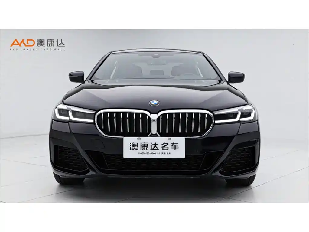 BMW 5 Series 2021 530Li xDrive M Sport Package фото 2