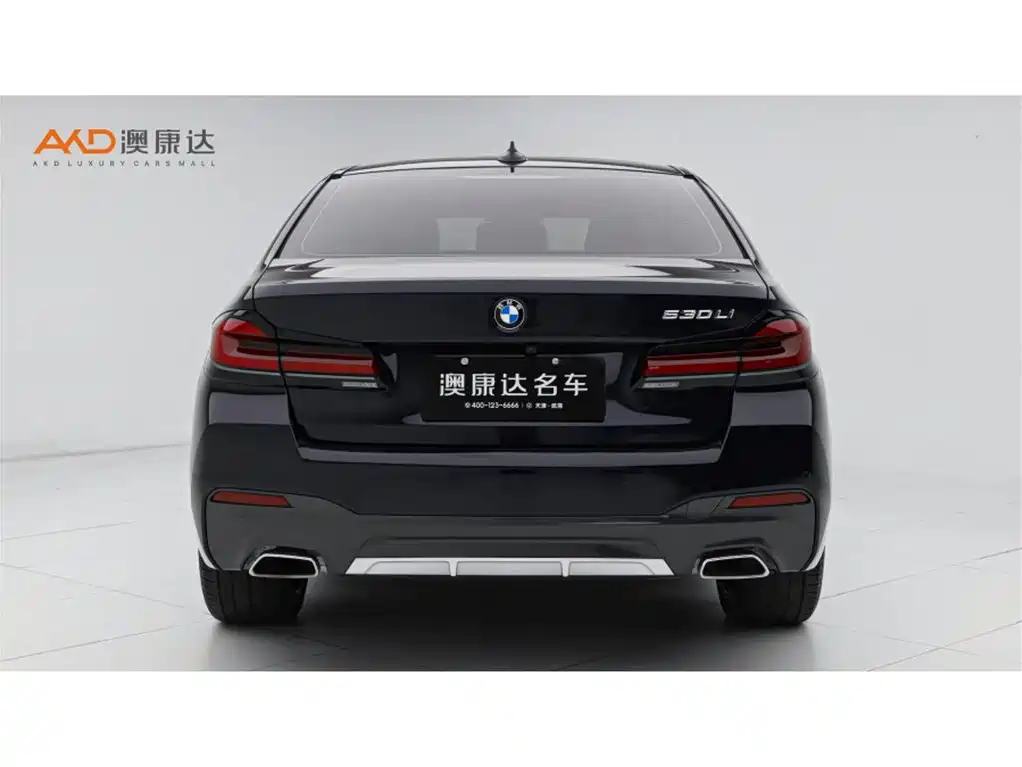 BMW 5 Series 2021 530Li xDrive M Sport Package фото 4