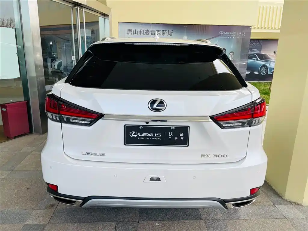 LEXUS RX