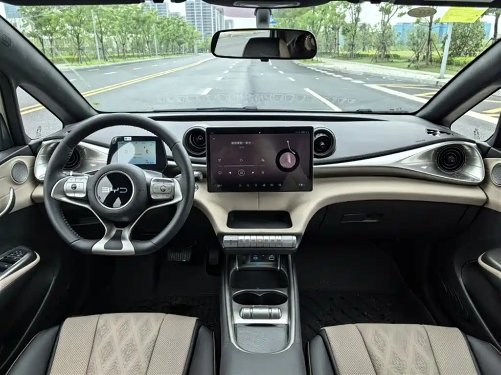 BYD Dolphin 2025 420km Freedom Edition фото 15