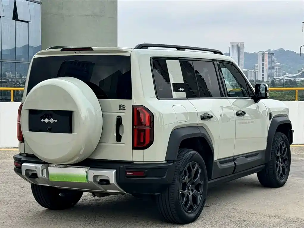 FANG CHENG BAO LEOPARD 5