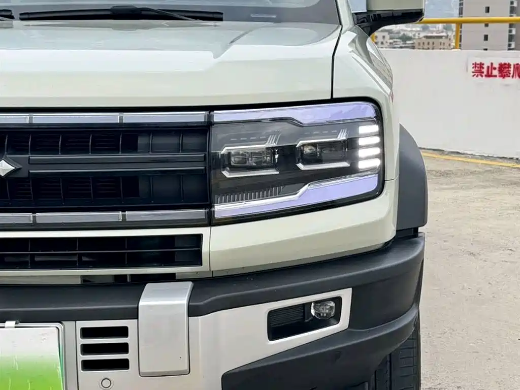 FANG CHENG BAO LEOPARD 5