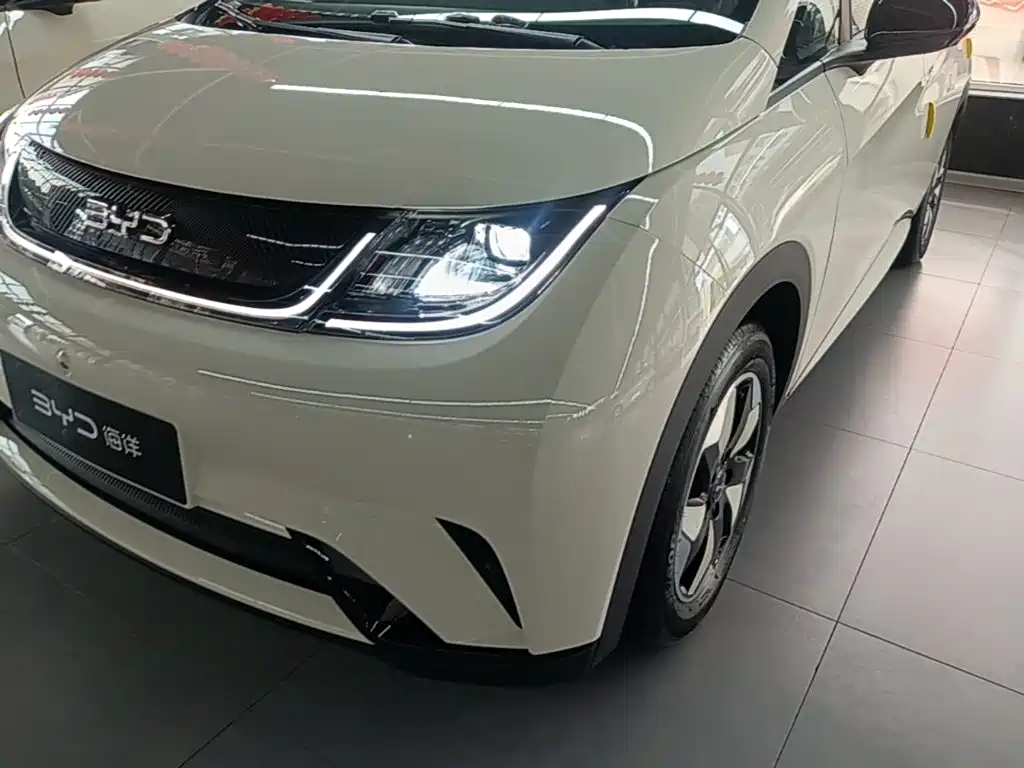 BYD Dolphin 2026 2025 420km Freedom Edition