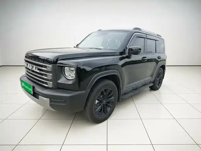 Haval Meng Long NEV 2024