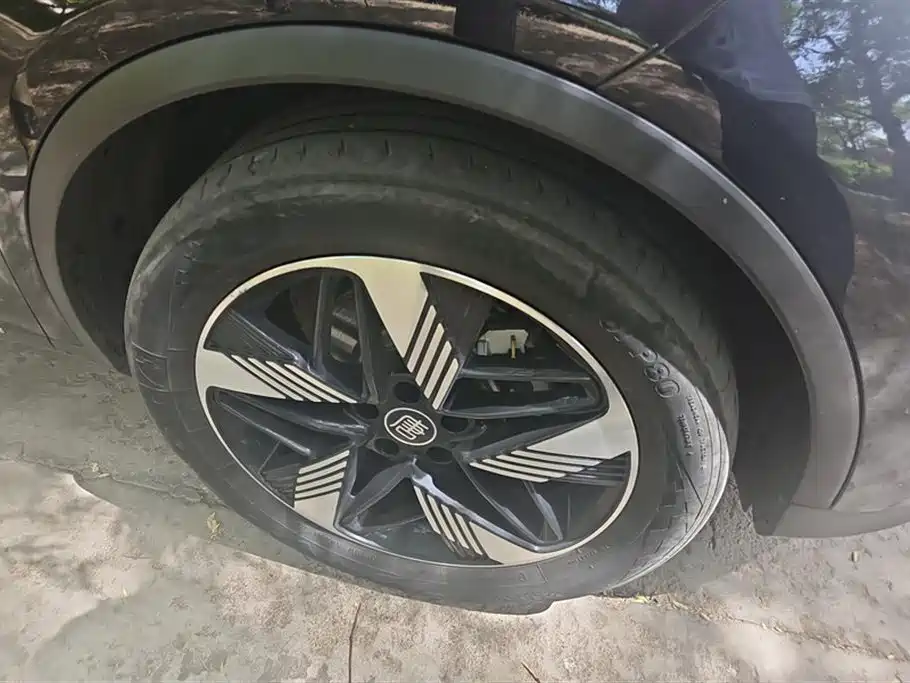 BYD Tang New Energy 2024 DM-i Honor Edition 112KM Premium фото 6