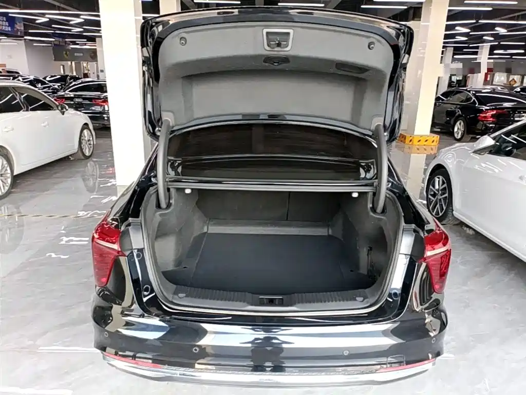 Hongqi H5 2023 2.0T Auto Smart Connect Flag Comfort фото 19