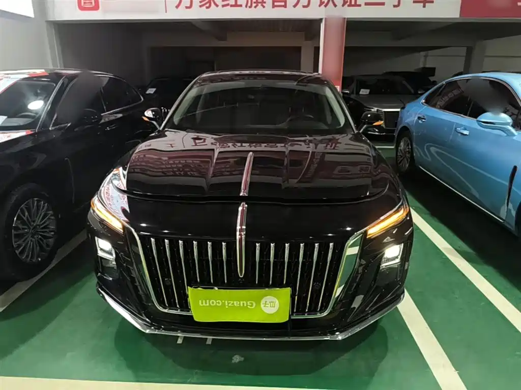 Hongqi H5 2025 2.0T Automatic Flag Celebration 500,000 Units Anniversary Edition фото 3