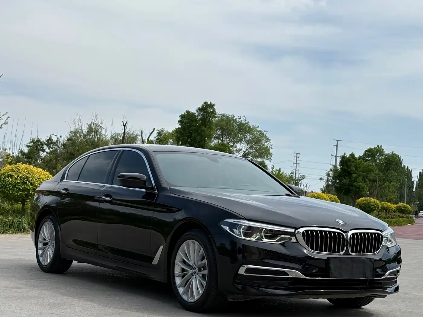 BMW 5 Series 2020 530Li Leading Luxury Package
