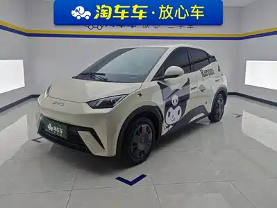 BYD Seagull