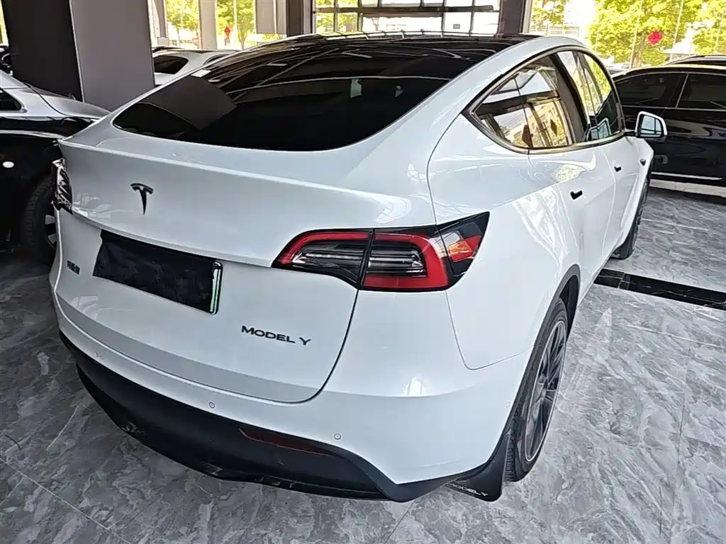 Tesla Model Y 2021 2021 Long Range All-Wheel Drive 3D7