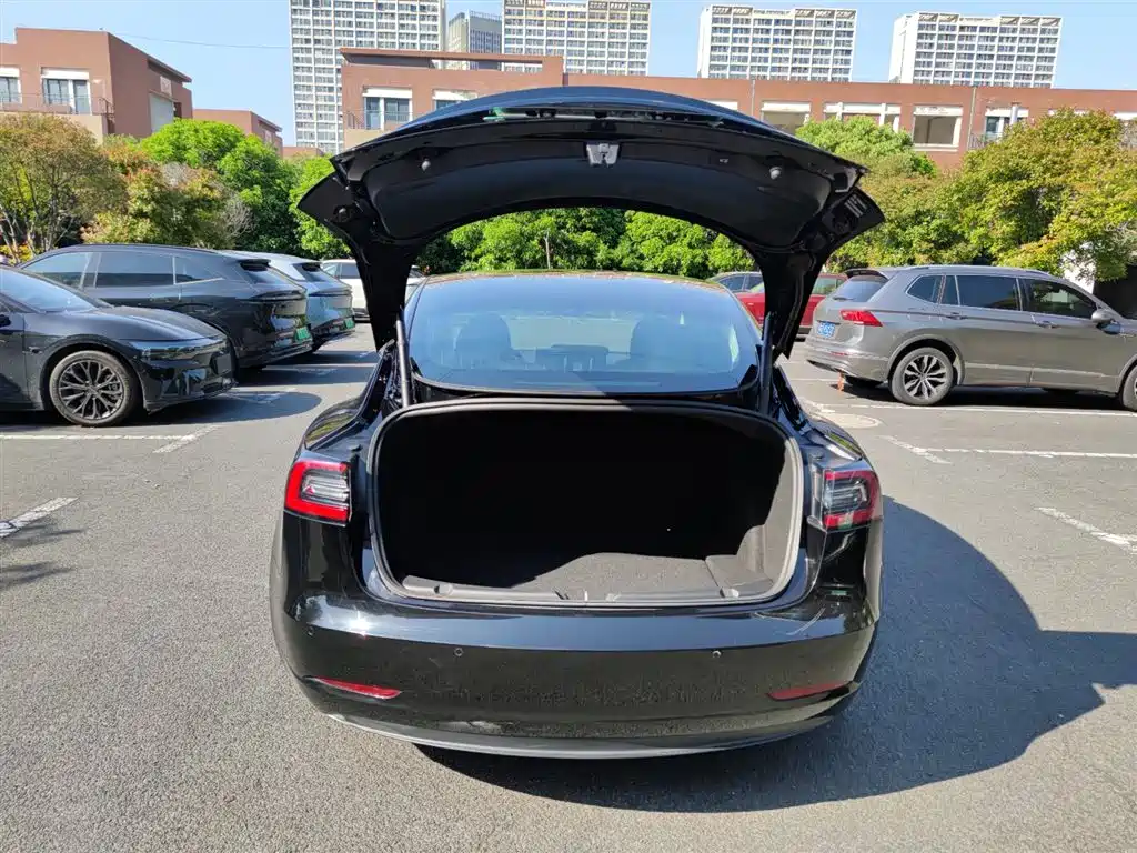 Tesla Model 3 2020 2020 Facelift Standard Range RWD Upgrade