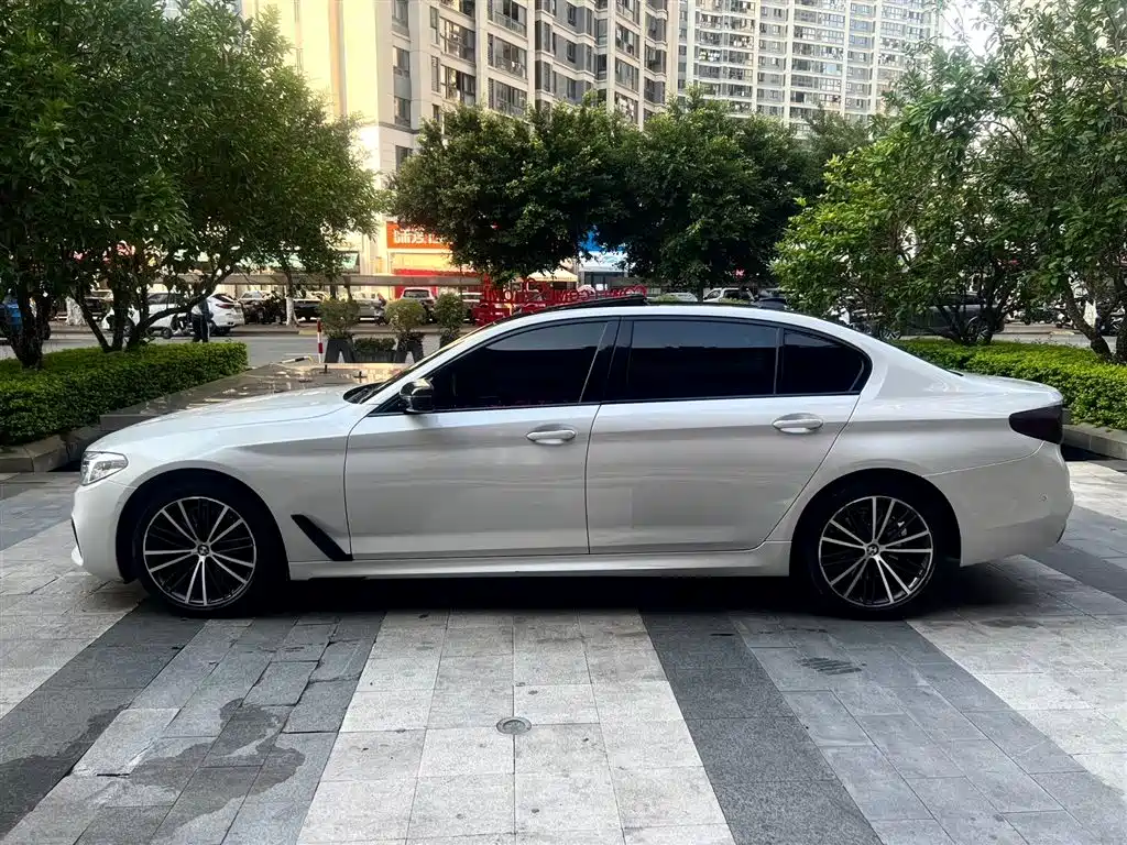 BMW 5 Series 2020 530Li Exclusive M Sport Package фото 4