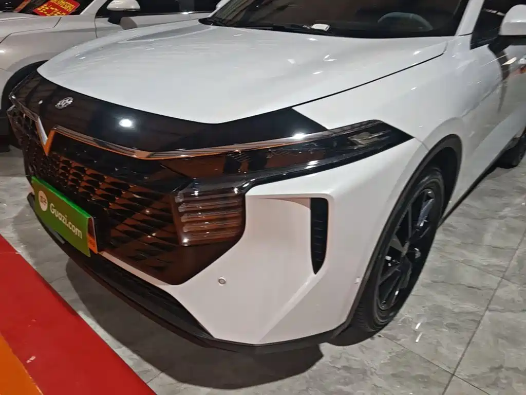 Venucia Big V 2022 2021 260T King Edition