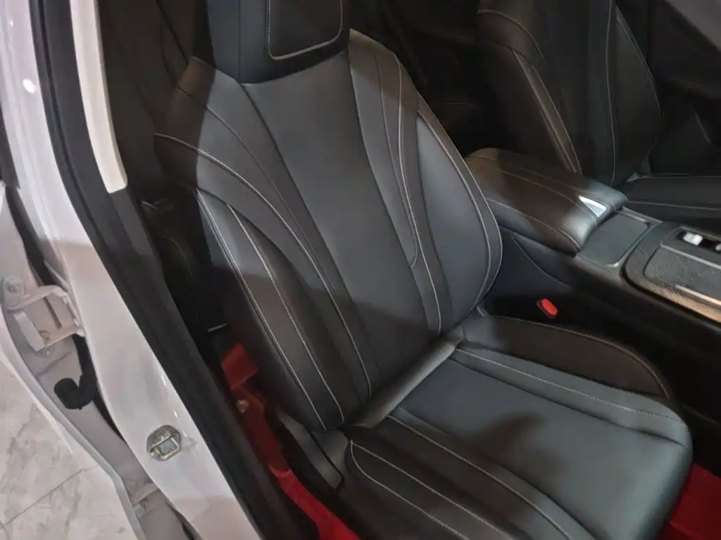 Venucia Big V 2022 2021 260T King Edition
