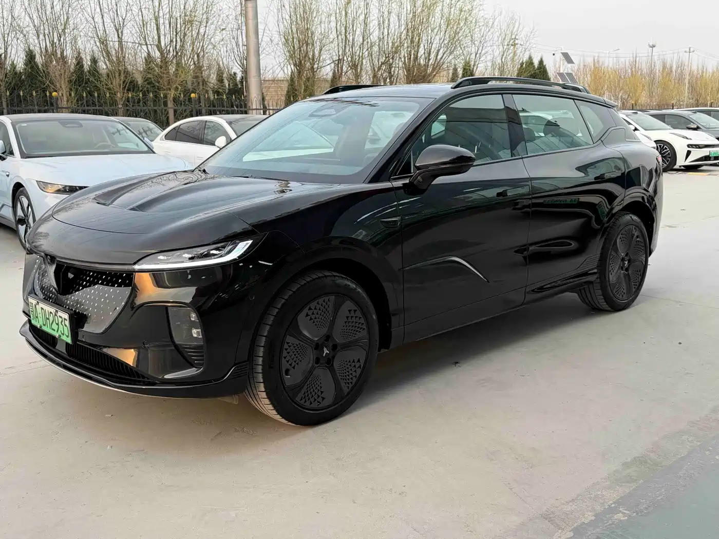 Voyah Auto Voyah Zhiyin 2024 4WD Global Edition
