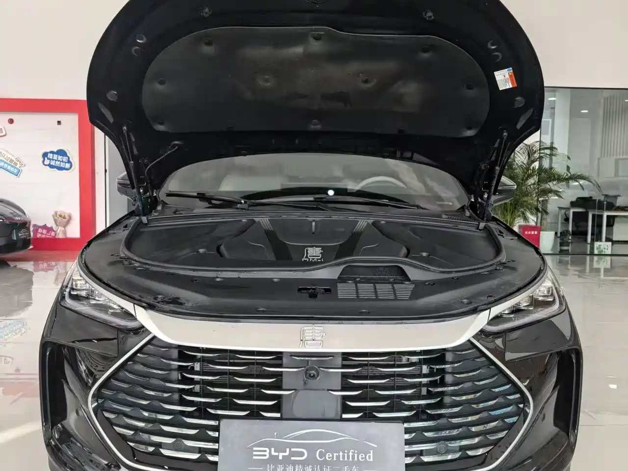 BYD Tang New Energy 2025 Smart Driving Edition DM-i 115KM Flagship фото 2