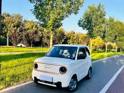 Geely Panda