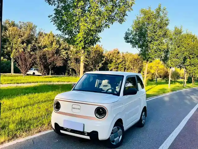 Geely Panda Panda, mini 200km, Выносливый мишка