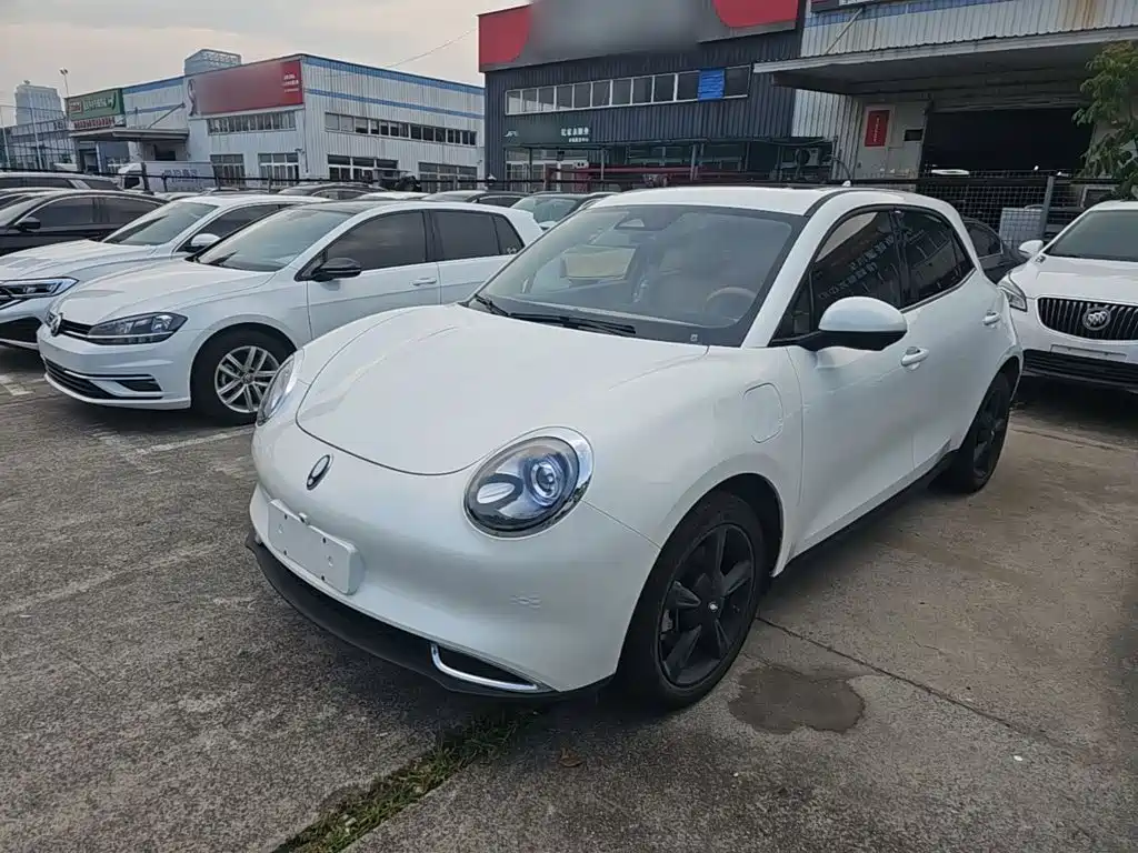 Ora Good Cat 2024 2024 401km Luxury