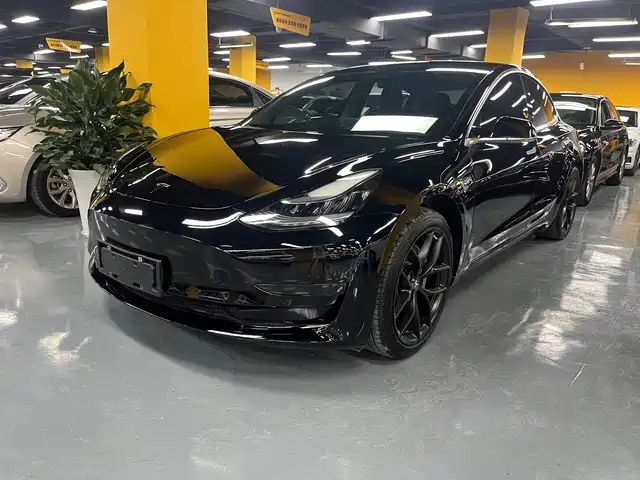 Tesla Model 3 2020 Standard Range Rear-Wheel Drive Upgrade