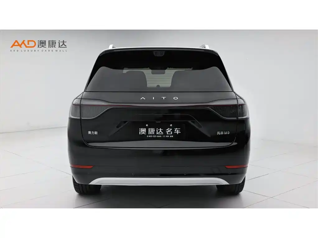 AITO Wenjie AITO M9 2025 Extended Range Max 52kWh 6-Seater фото 4