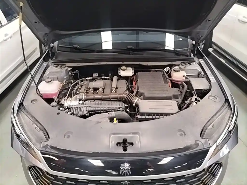 BYD Qin PLUS 2025 DM-i Smart Drive 55KM Leader фото 20