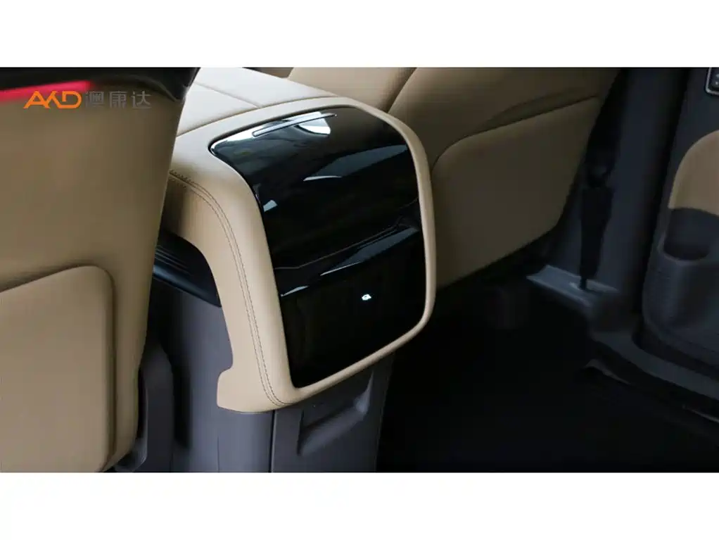 Denza D9 2022 DM-i 970 AWD Flagship фото 10