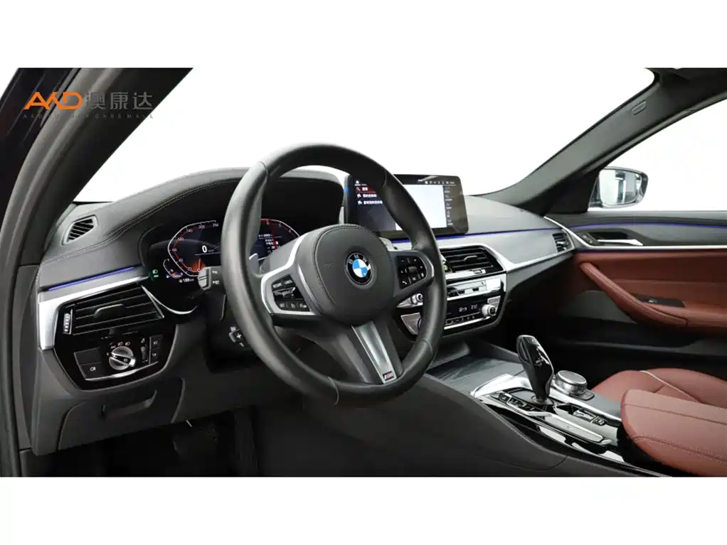 BMW 5 Series 2021 530Li xDrive M Sport Package фото 6