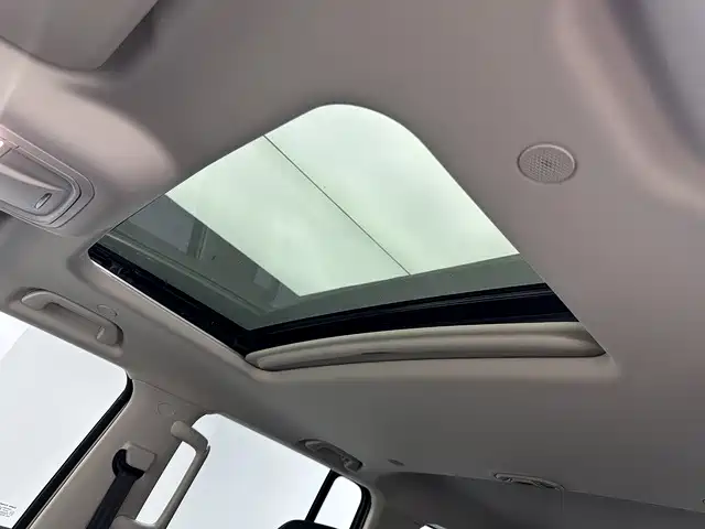 Tank 300 2025 2025 2.0T Challenger