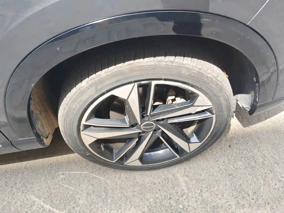 Roewe RX5 eMAX 2022 2022 1.5T PHEV Fearless Honor Edition