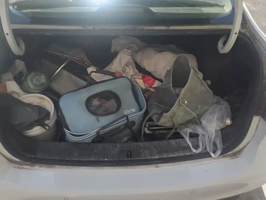 Photo 4 - Volkswagen Bora