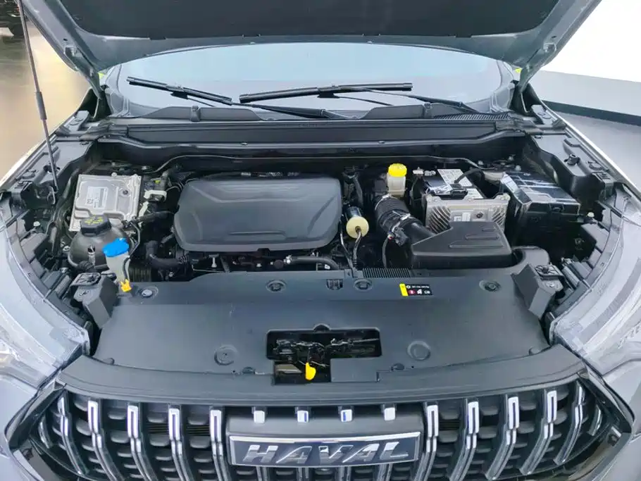 Haval Chitu 2022 2021 Turbo Edition 1.5T Golden Rabbit