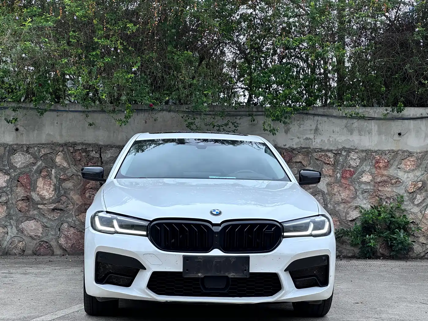 BMW 5 Series 2021 530Li Premium Luxury Package фото 2