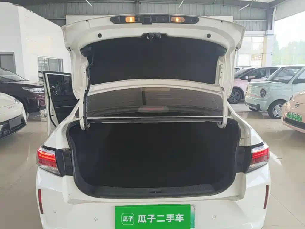Venucia D60EV 2022 2020 Standard Range Smart Edition