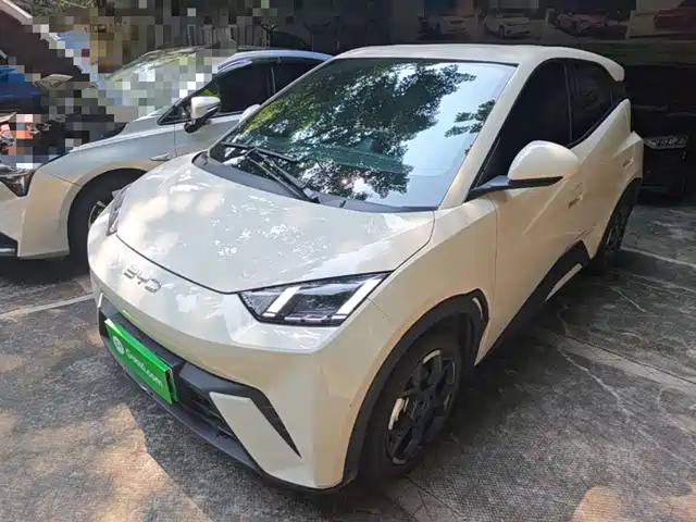 BYD Seagull 2024