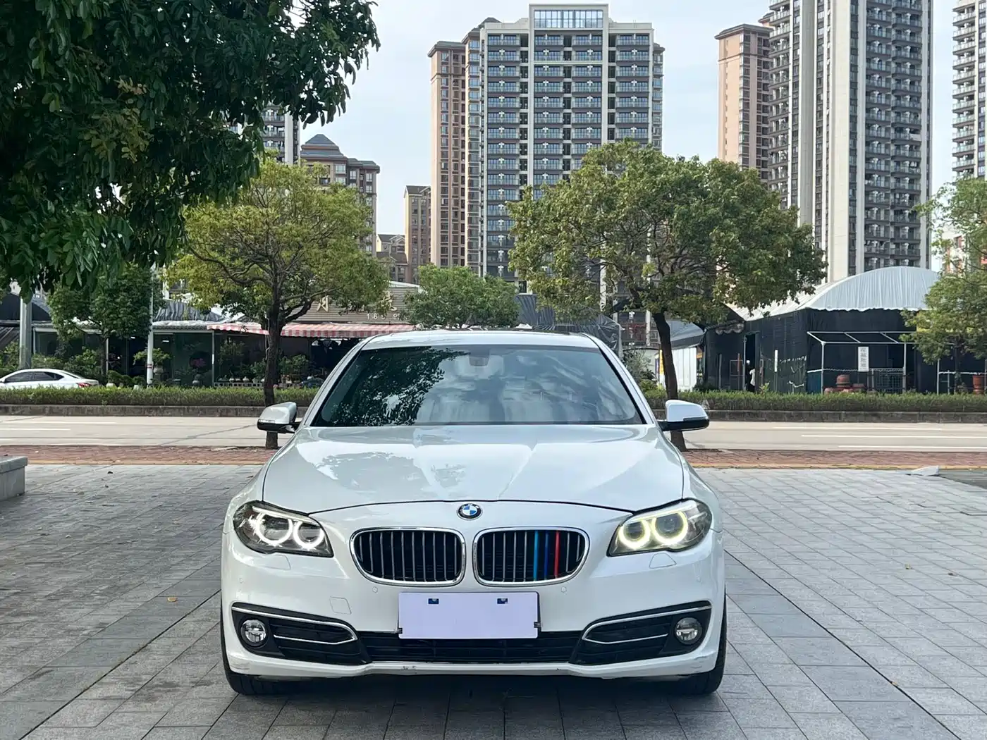 BMW 5 Series 2014 525Li Luxury Design Package фото 2