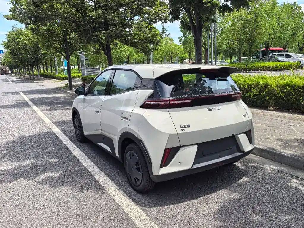 BYD Seagull 2026 2025 Smart Drive Edition 305km Vitality Version