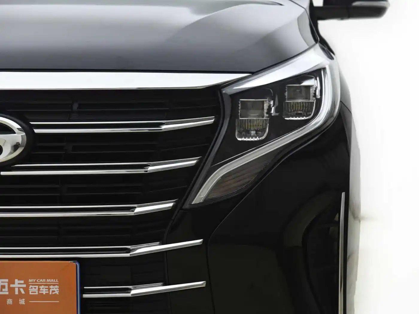 GAC Trumpchi Trumpchi M8 2023 Leading Series 390T Premium Edition фото 2