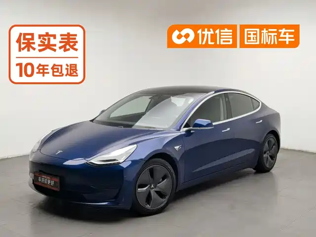 Tesla Model 3 2020 Standard Range Rear-Wheel Drive Upgrade — фото 1