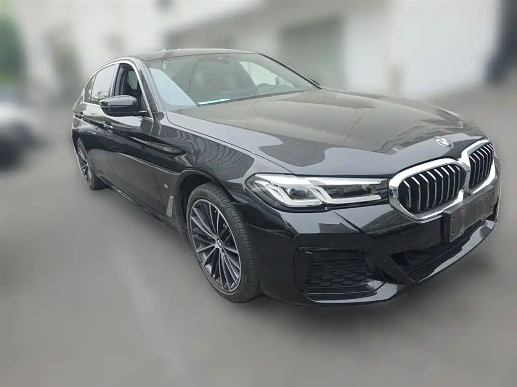 BMW 5 Series 2022 530Li Leading M Sport Package фото 7