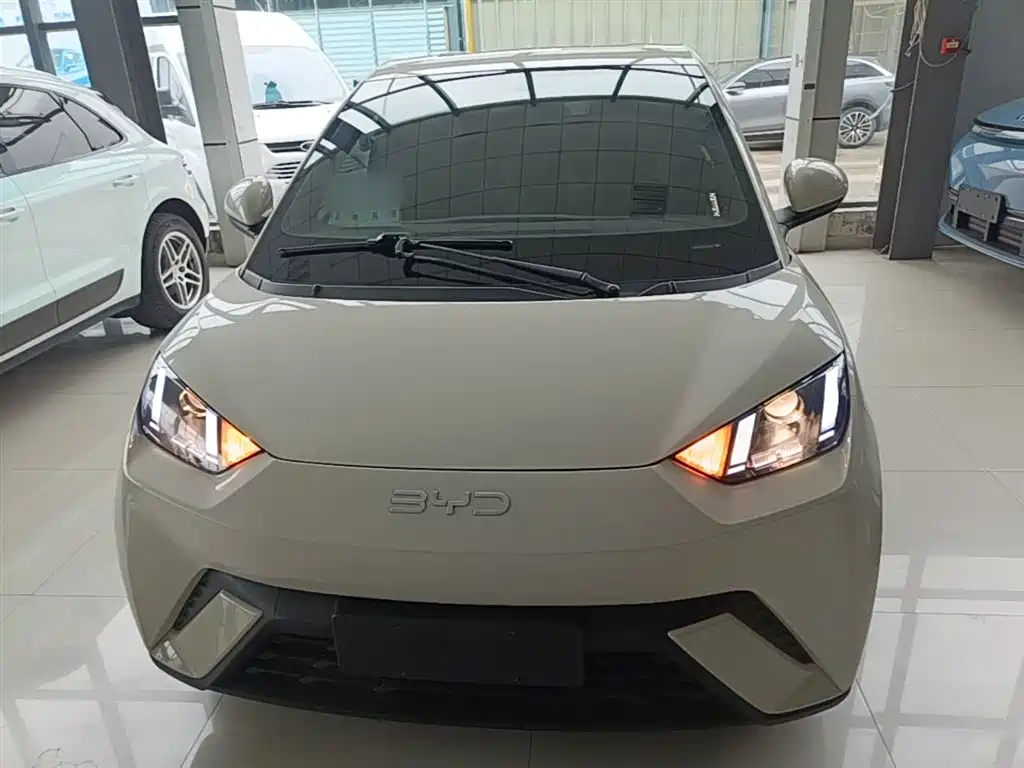 BYD Seagull 2025 305km Vitality фото 3