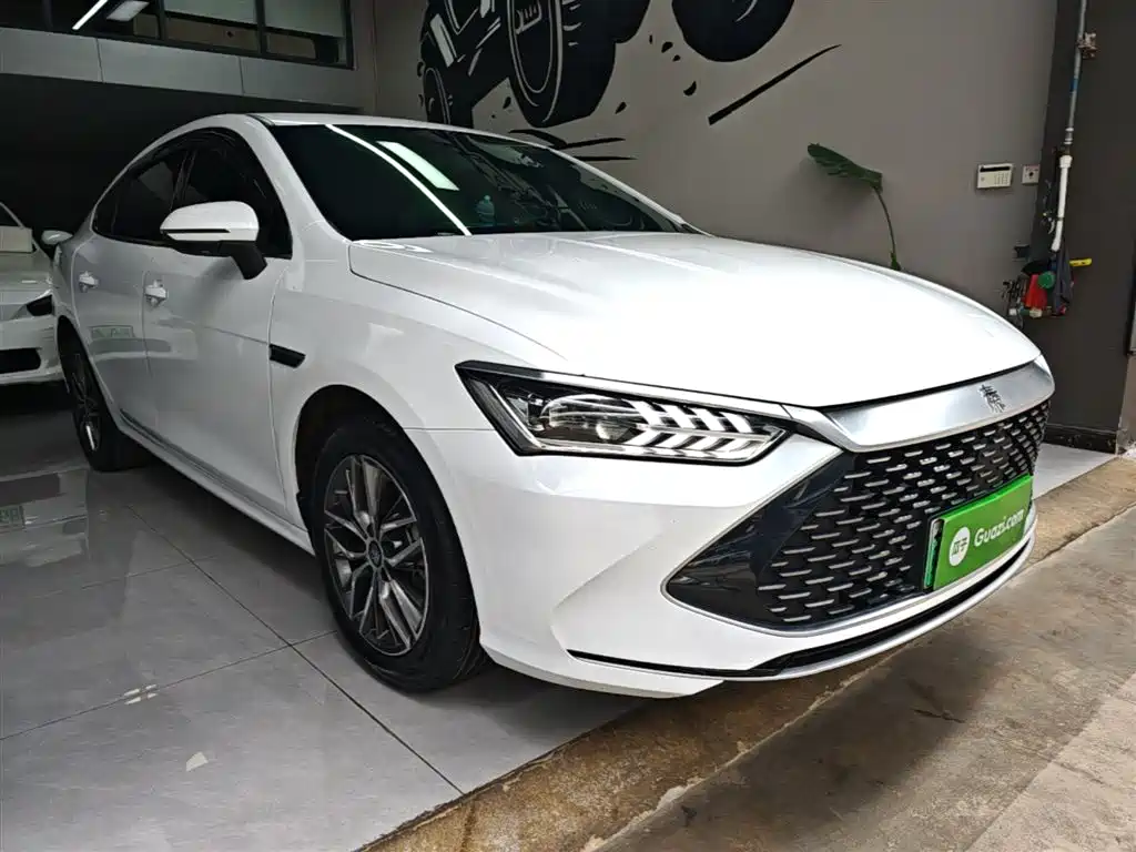 BYD Qin PLUS 2024 Glory Edition DM-i 120KM Surpass фото 4