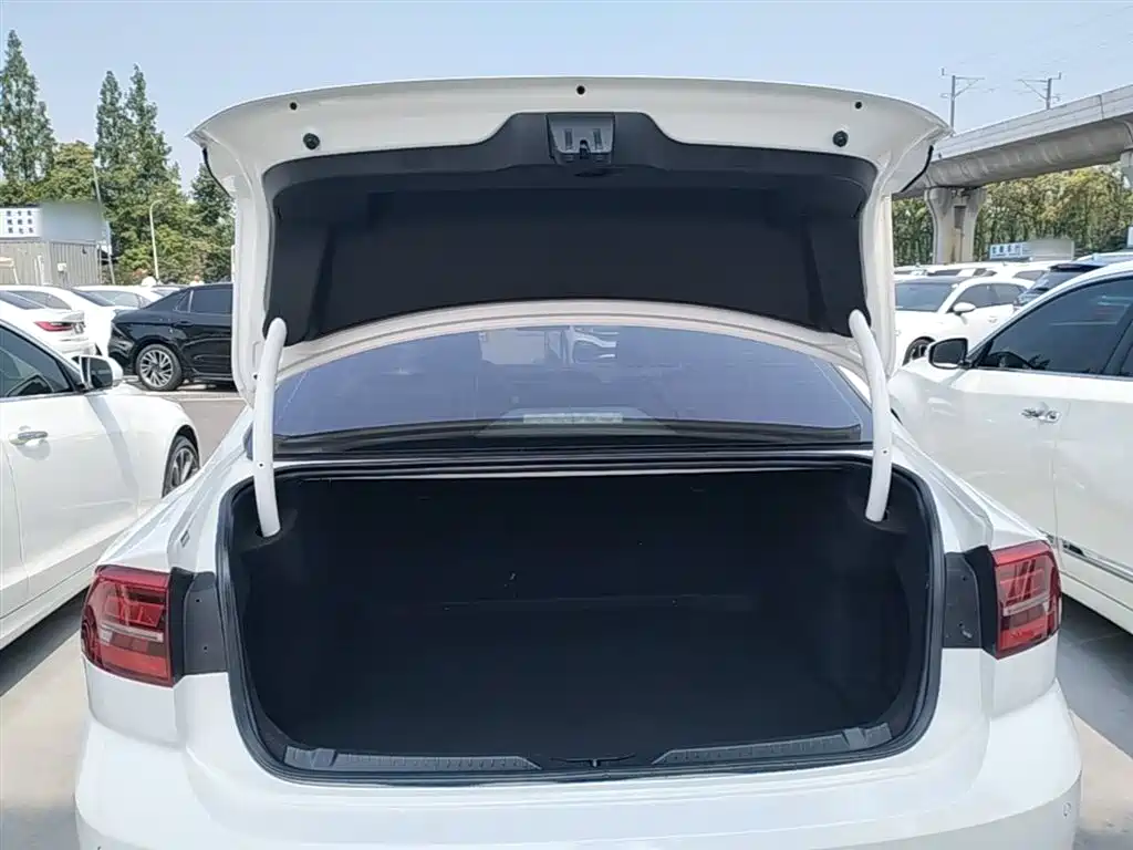 VOLKSWAGEN LINGDU